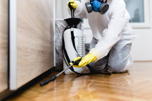 Best Local Pest Control Services  in North Augusta, SC