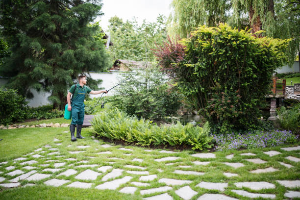 Best Commercial Pest Control Services  in North Augusta, SC