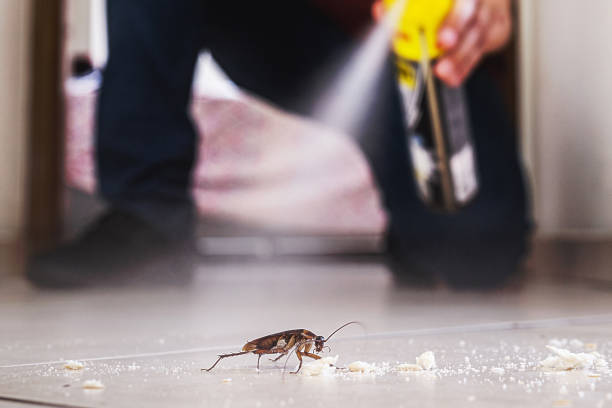 Pest Control Cost in North Augusta, SC